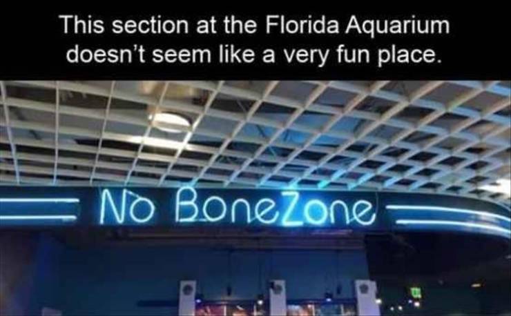 funny picdump 51 pics 20.html - 51 HD Photos | Premium Gallery 2019