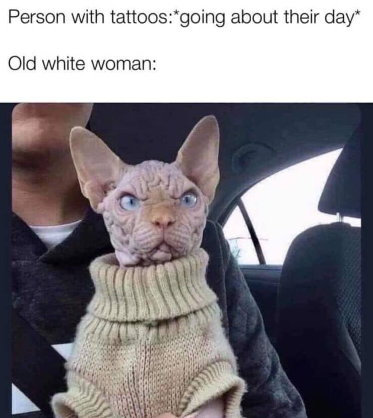 Funny Picdump