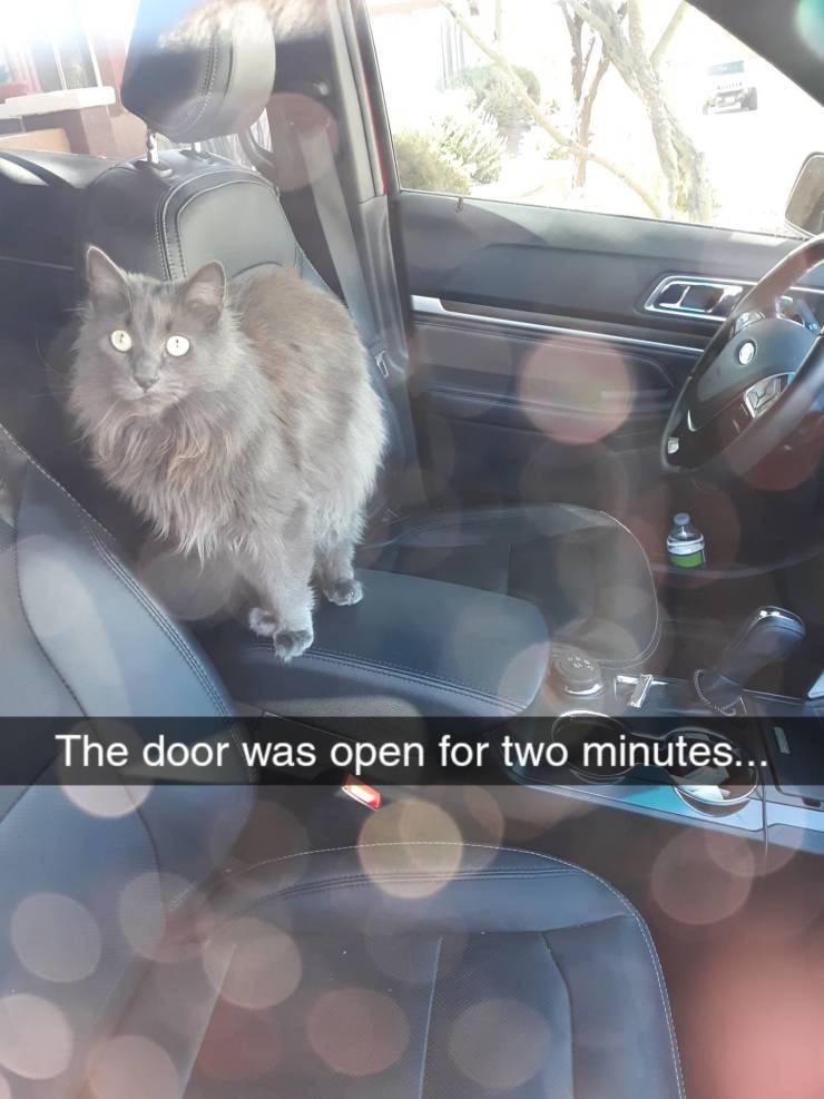 funny picdump 51 pics 20.html - 51 HD Photos | Premium Gallery 2019