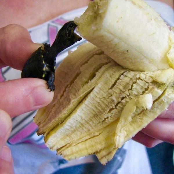 page,21,top 750 daily pics of the year 2019.html - 1 HD Photos | Premium Gallery 2019