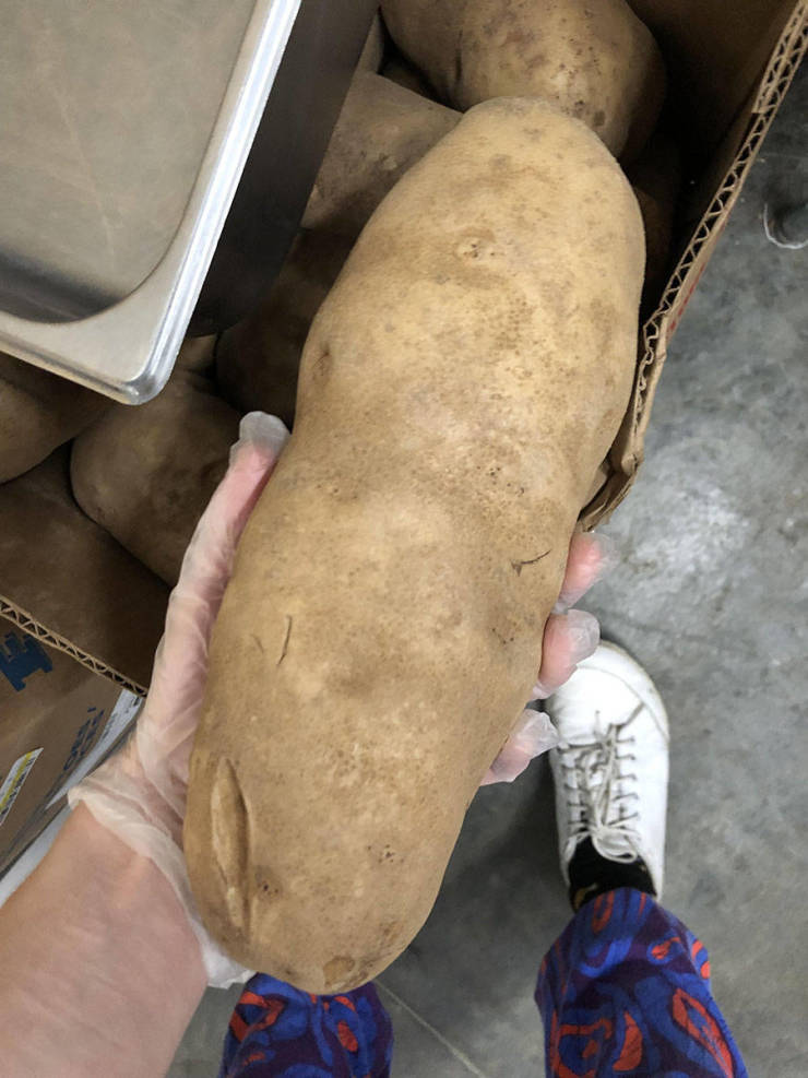 morning picdump 54 pics 6.html - 54 HD Photos | Premium Gallery 2019