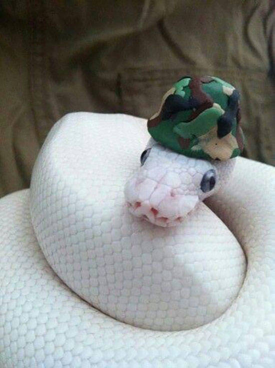 morning picdump 54 pics 6.html - 54 HD Photos | Premium Gallery 2019