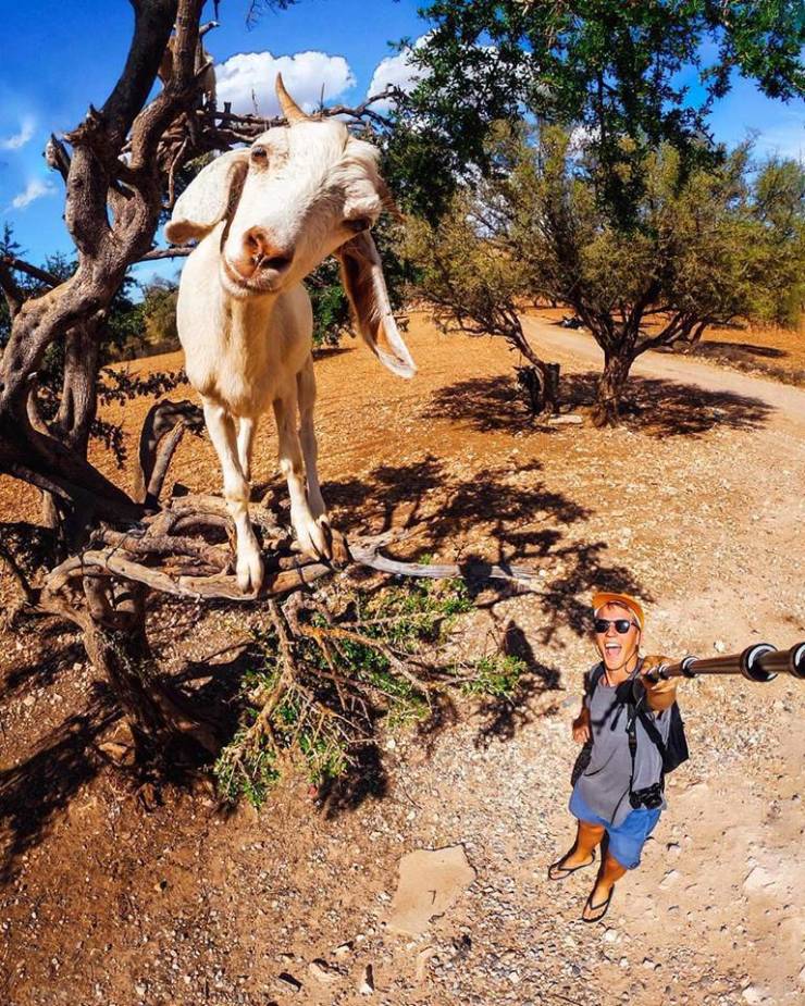 morning picdump 54 pics 6.html - 54 HD Photos | Premium Gallery 2019