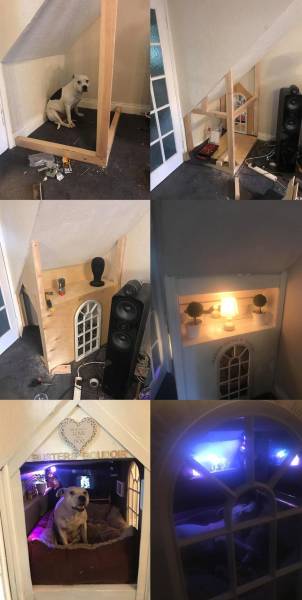 page,3,top 750 daily pics of the year 2019.html - 1 HD Photos | Premium Gallery 2019