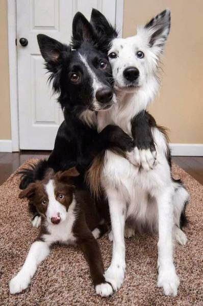 page,13,top 750 daily pics of the year 2019.html - 1 HD Photos | Premium Gallery 2019