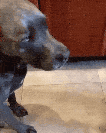 fail gifs are both hilarious and educational 36 gifs 12.html - 1 HD GIF | Premium Gallery 2019