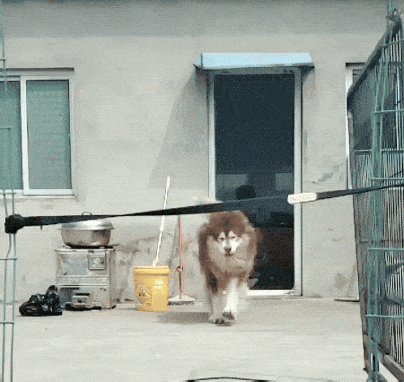 fail gifs are both hilarious and educational 36 gifs 12.html - 1 HD GIF | Premium Gallery 2019