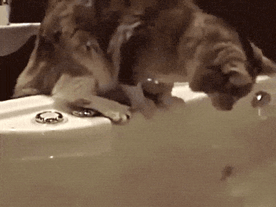 fail gifs are both hilarious and educational 36 gifs 12.html - 1 HD GIF | Premium Gallery 2019