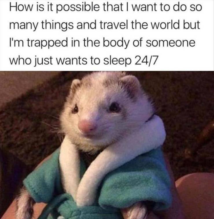 funny picdump 50 pics 23.html - 50 HD Photos | Premium Gallery 2019