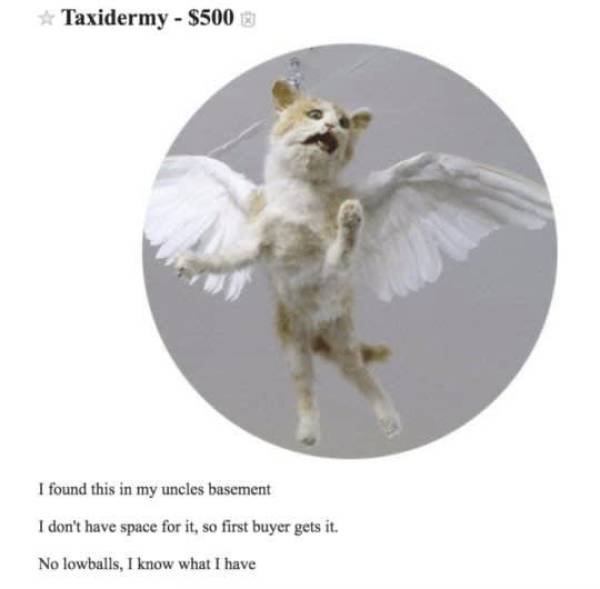 The Funniest Stuff Internet Could Provide