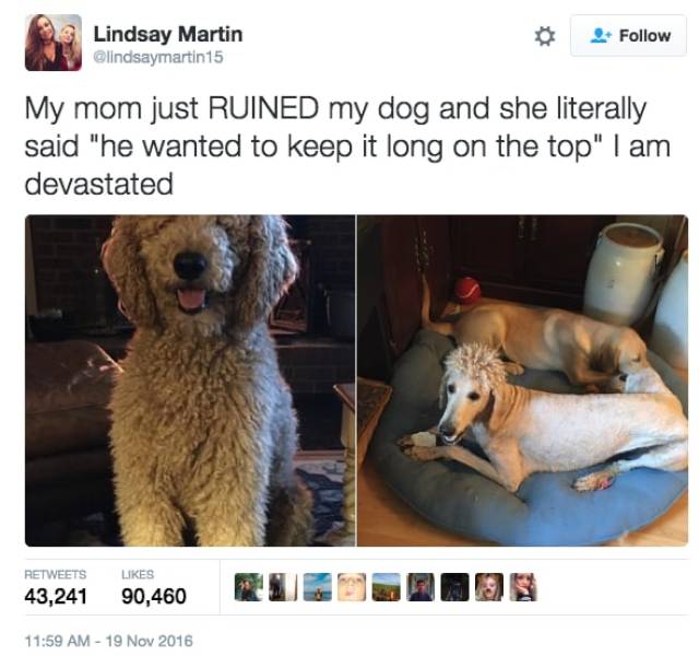 The Funniest Stuff Internet Could Provide