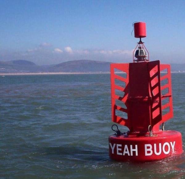 The Funniest Stuff Internet Could Provide