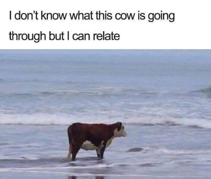 the funniest stuff internet could provide 100 pics 33.html - 100 HD Photos | Premium Gallery 2019