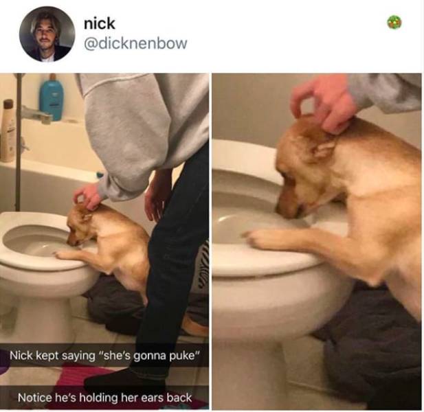 the funniest stuff internet could provide 100 pics 33.html - 100 HD Photos | Premium Gallery 2019