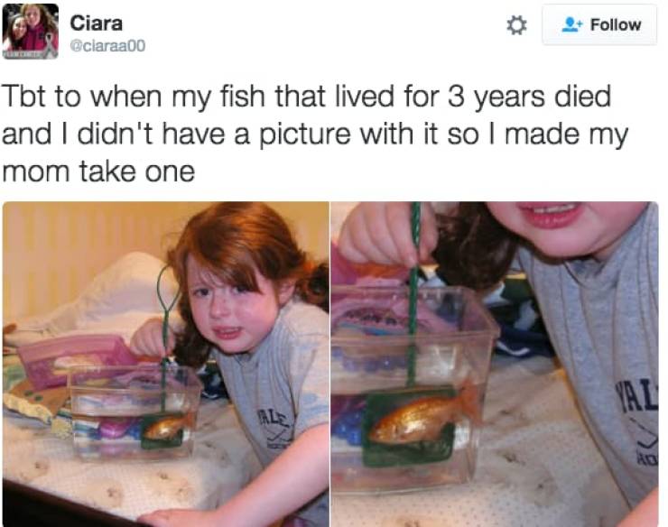 the funniest stuff internet could provide 100 pics 33.html - 100 HD Photos | Premium Gallery 2019