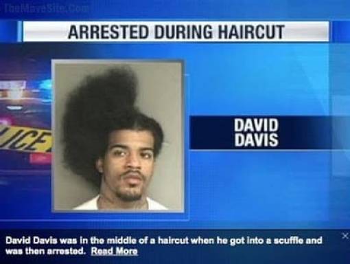 the funniest stuff internet could provide 100 pics 33.html - 100 HD Photos | Premium Gallery 2019