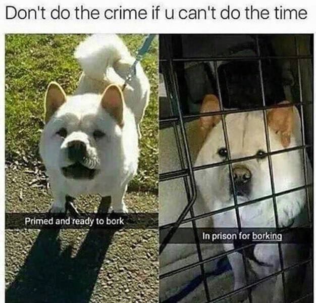 the funniest stuff internet could provide 100 pics 33.html - 100 HD Photos | Premium Gallery 2019