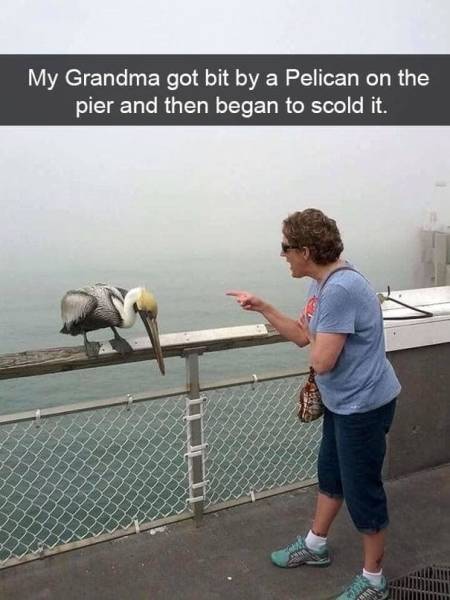The Funniest Stuff Internet Could Provide