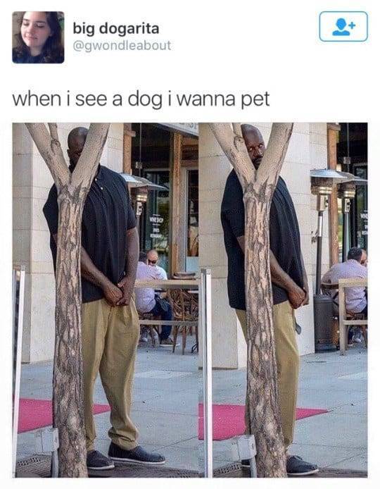 The Funniest Stuff Internet Could Provide