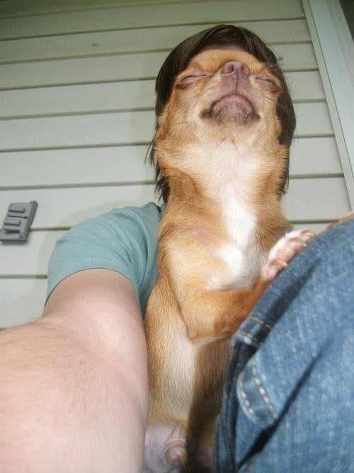 the funniest stuff internet could provide 100 pics 33.html - 100 HD Photos | Premium Gallery 2019