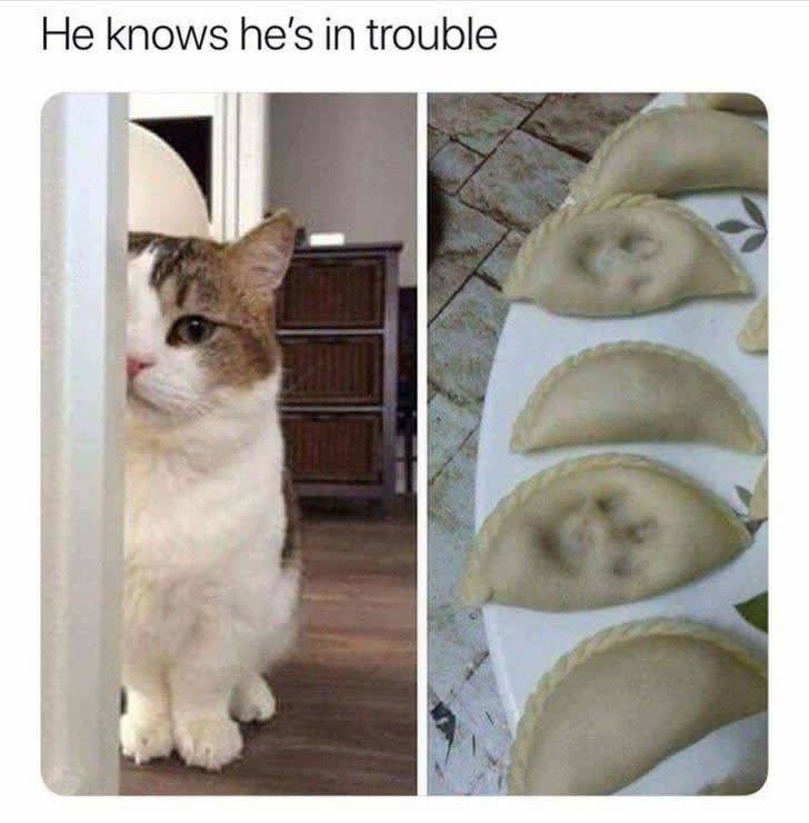 the funniest stuff internet could provide 100 pics 33.html - 100 HD Photos | Premium Gallery 2019