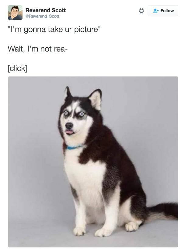 the funniest stuff internet could provide 100 pics 33.html - 100 HD Photos | Premium Gallery 2019