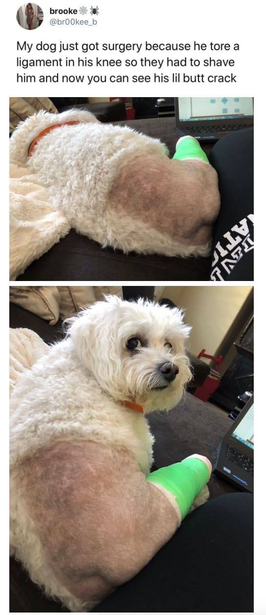 the funniest stuff internet could provide 100 pics 33.html - 100 HD Photos | Premium Gallery 2019