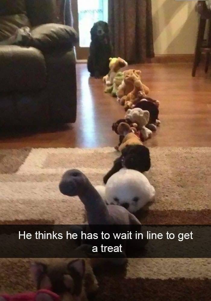 the funniest stuff internet could provide 100 pics 33.html - 100 HD Photos | Premium Gallery 2019