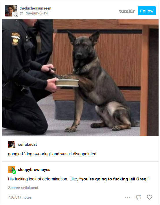 the funniest stuff internet could provide 100 pics 33.html - 100 HD Photos | Premium Gallery 2019