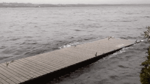 Hypnotists Could Use These GIFs As Their Tools