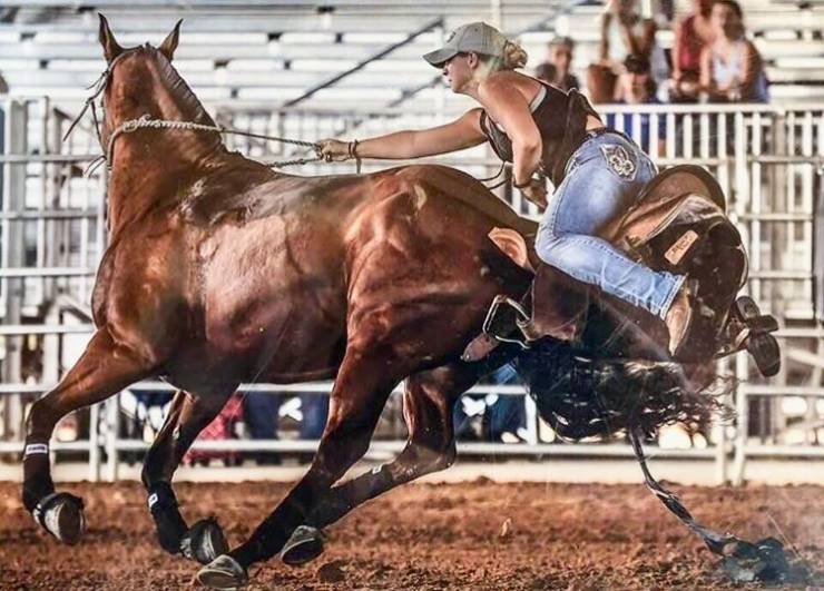 daily picdump 100 pics 2.html - 100 HD Photos | Premium Gallery 2019