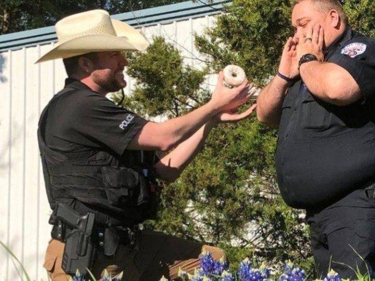daily picdump 100 pics 2.html - 100 HD Photos | Premium Gallery 2019