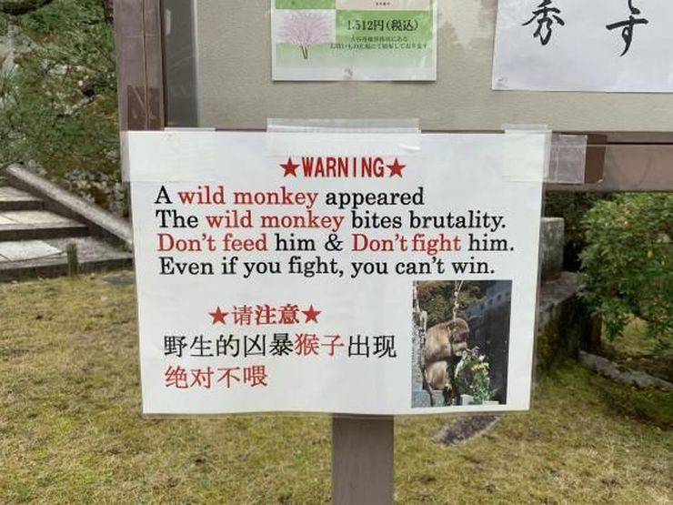 daily picdump 100 pics 2.html - 100 HD Photos | Premium Gallery 2019