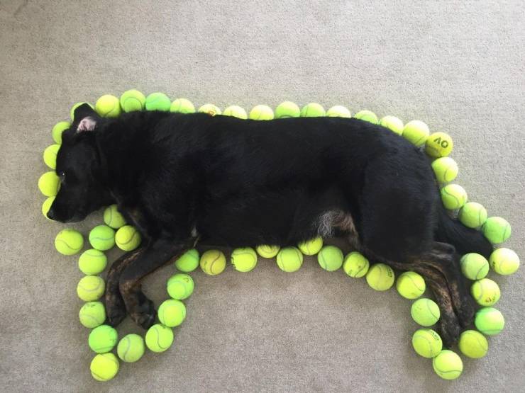 daily picdump 100 pics 2.html - 100 HD Photos | Premium Gallery 2019
