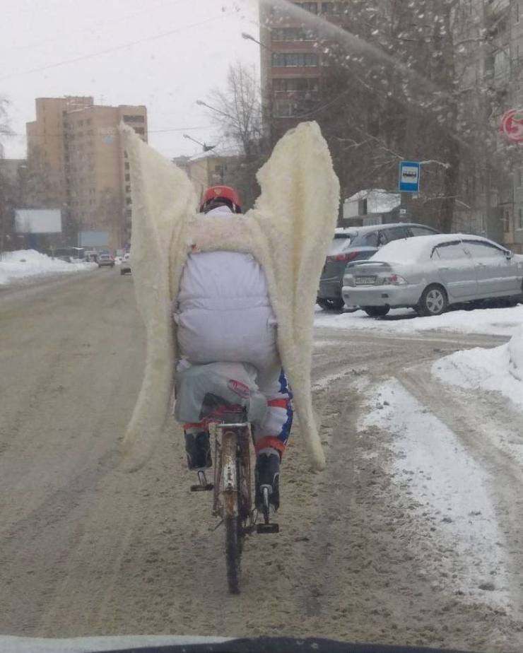 daily picdump 100 pics 2.html - 100 HD Photos | Premium Gallery 2019