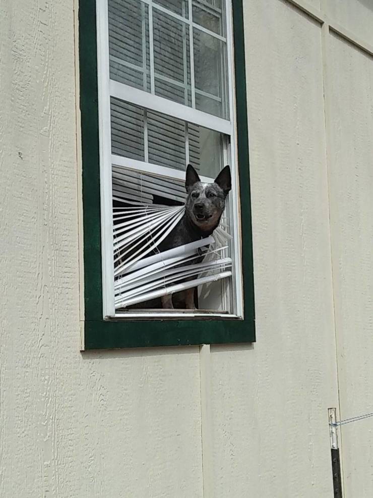daily picdump 100 pics 2.html - 100 HD Photos | Premium Gallery 2019