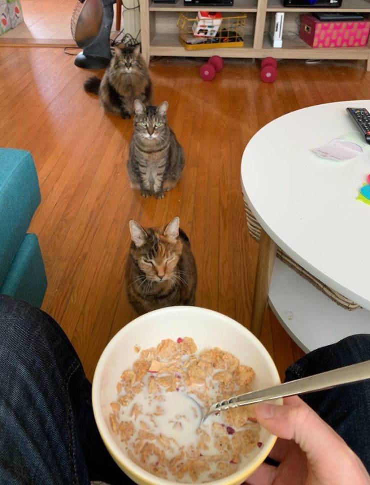 daily picdump 100 pics 2.html - 100 HD Photos | Premium Gallery 2019