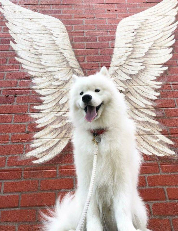 daily picdump 100 pics 2.html - 100 HD Photos | Premium Gallery 2019