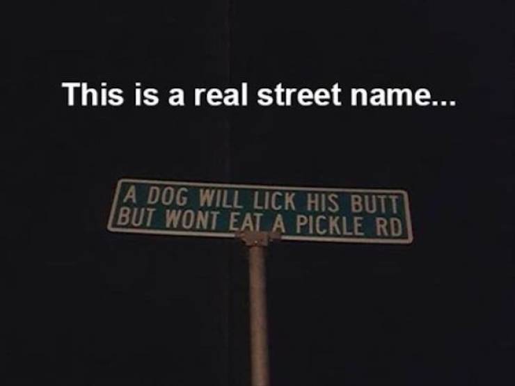 You Can Nail Anything!