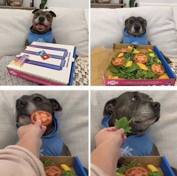 page,3,top 750 daily pics of the year 2019.html - 1 HD Photos | Premium Gallery 2019