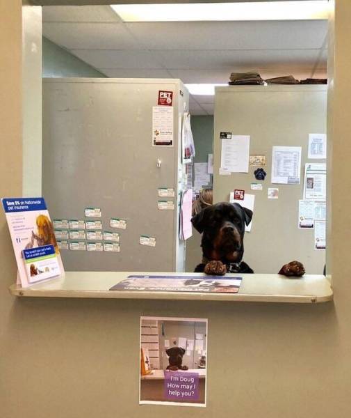 page,13,top 750 daily pics of the year 2019.html - 1 HD Photos | Premium Gallery 2019