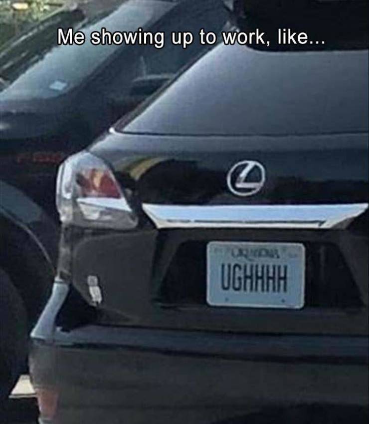funny picdump 54 pics 8.html - 54 HD Photos | Premium Gallery 2019