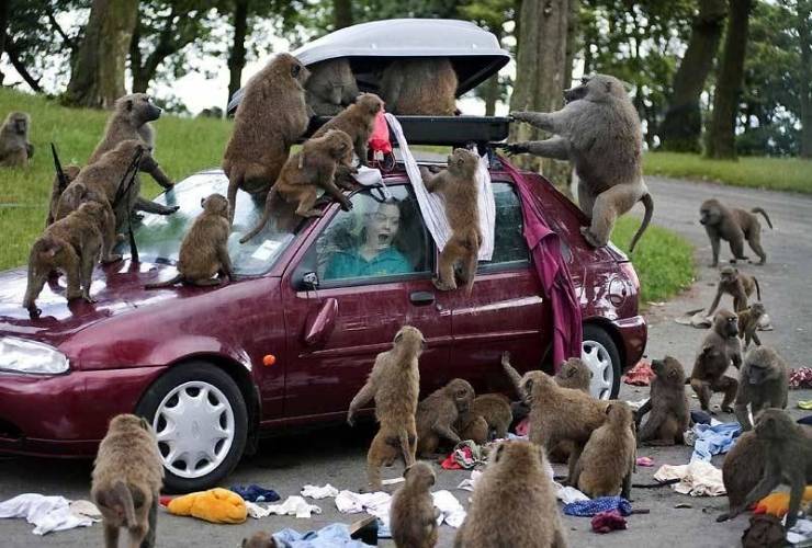 Sometimes You Just Can’t Explain…