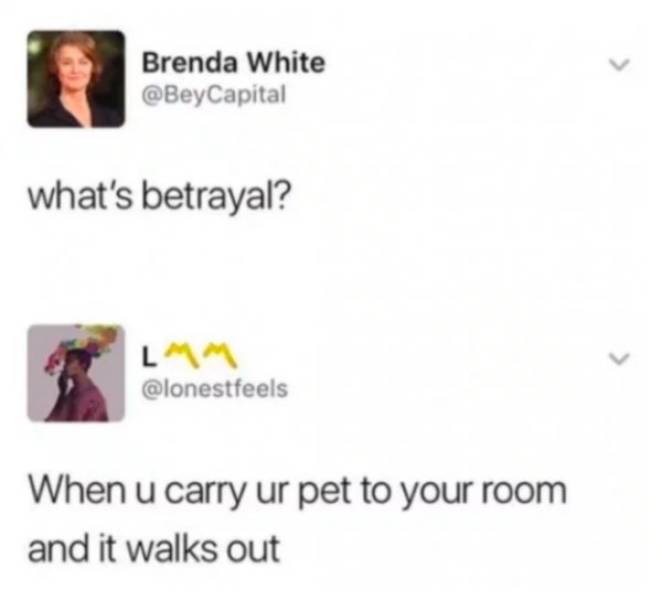 They Knew Exactly How To Respond