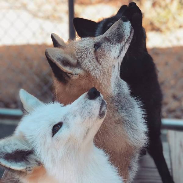 page,13,top 750 daily pics of the year 2019.html - 1 HD Photos | Premium Gallery 2019