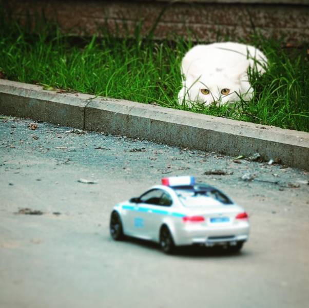 page,13,top 750 daily pics of the year 2019.html - 1 HD Photos | Premium Gallery 2019