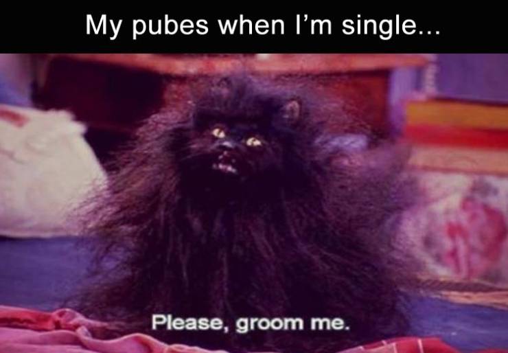 funny picdump 52 pics 9.html - 52 HD Photos | Premium Gallery 2019