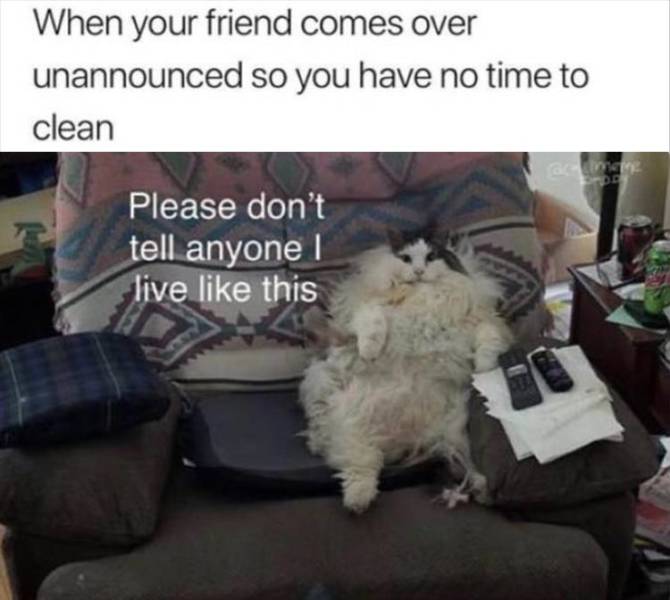 funny picdump 52 pics 9.html - 52 HD Photos | Premium Gallery 2019