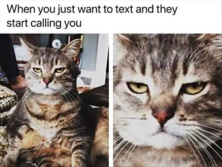 funny picdump 52 pics 9.html - 52 HD Photos | Premium Gallery 2019
