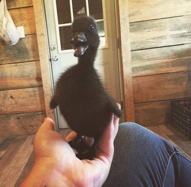 page,23,top 750 daily pics of the year 2019.html - 1 HD Photos | Premium Gallery 2019